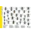 Wild bees 'identification chart' A4