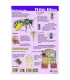 The life of the wild bee A4 card