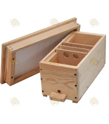 Wooden growing cabinet for queen breeding 2 cotyledons