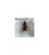 Educational model Paper wasp, (Polistes rothneyi)