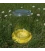 Glazen pot drinkbak geel - BeeFun®