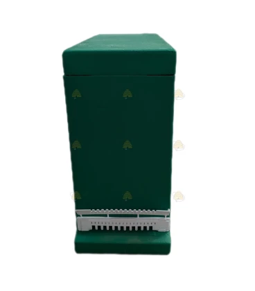 Green Dadant Blatt 3-window EPS cabinet